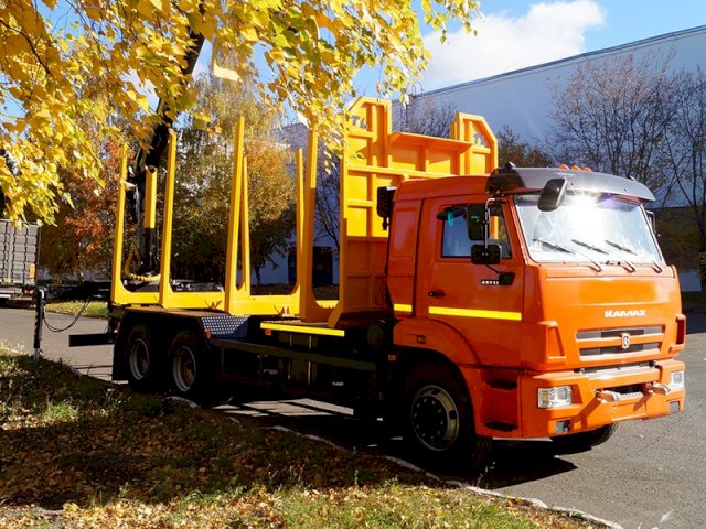 Фото №6: Сортиментовоз КАМАЗ 65115-773962-50 с КМУ VM10L86