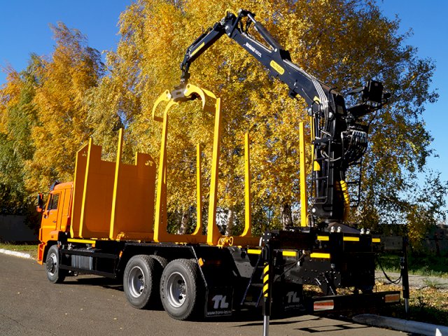 Фото №9: Сортиментовоз КАМАЗ 65115-3094-50 с КМУ VM10L86