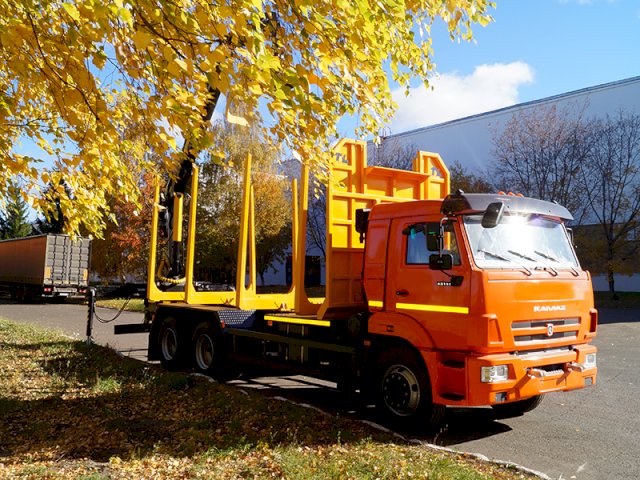 Фото №5: Сортиментовоз КАМАЗ 65115-3094-50 с КМУ VM10L86