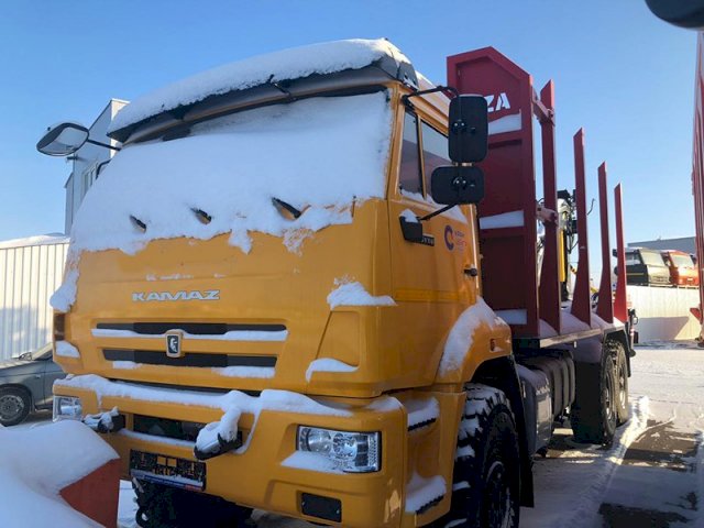 Фото №14: Сортиментовоз КАМАЗ 65115-773962-50 с КМУ VM10L74