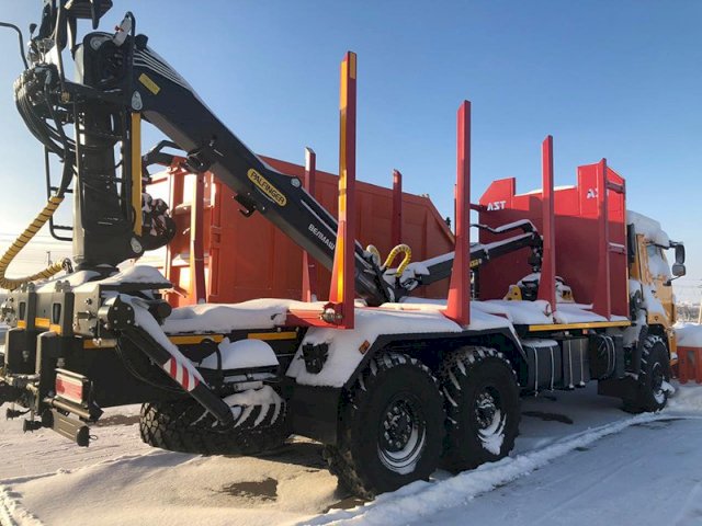 Фото №15: Сортиментовоз КАМАЗ 65115-3094-48 с КМУ VM10L74 (RX 38)