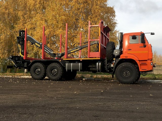 Фото №10: Сортиментовоз КАМАЗ 43118-3011-50 с КМУ VM10L74 (RX 38)